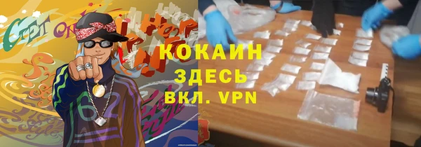 дмт Алзамай