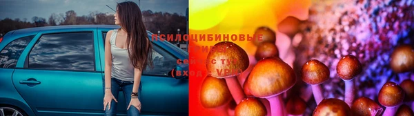 ECSTASY Алексеевка