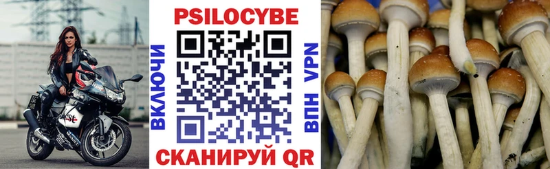 что такое   Кирсанов  гидра ССЫЛКА  Псилоцибиновые грибы Cubensis 